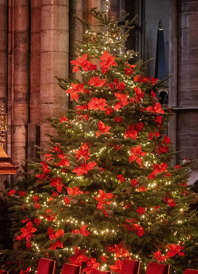 Кейт Миддлтон в рождественском наряде сообщила хорошую новость: о чем речь