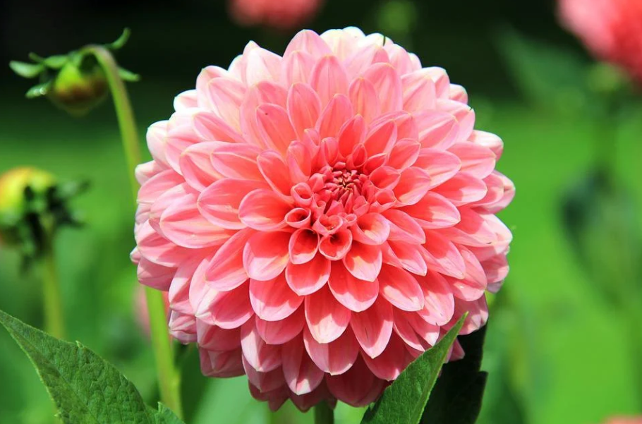 Эти культуры лучше всего сеять в апреле: урожай будет огромным!