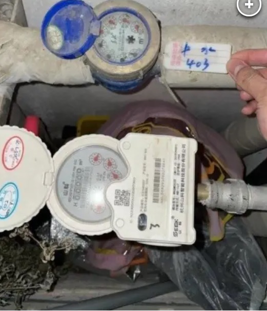 Пара с ужасом поняла, что пила воду из туалета 6 месяцев: как это произошло