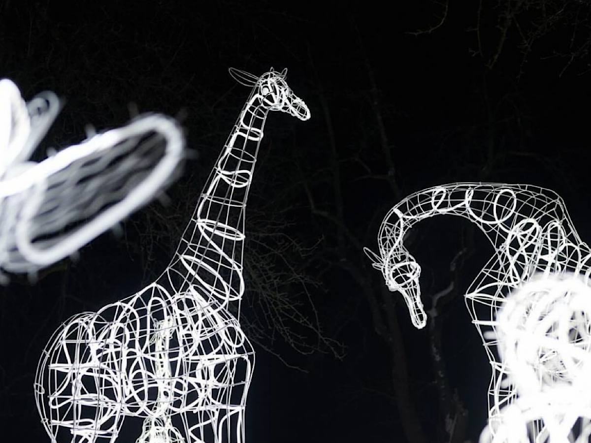 Куда пойти в Киеве в январе для поддержания праздничного настроения детей и взрослых