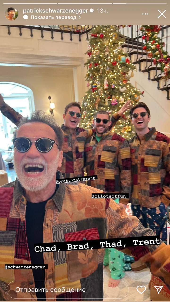 Арнольд Шварценеггер влаштував костюмоване різдвяне паті у родинному колі (фото)