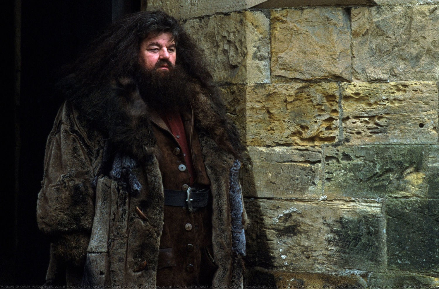 Знаете ли вы, что персонажей &quot;Гарри Поттера&quot; могли воплотить другие актеры. Кто они