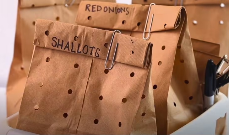 Названо лучшее место для хранения лука и чеснока. Плесень им не страшна