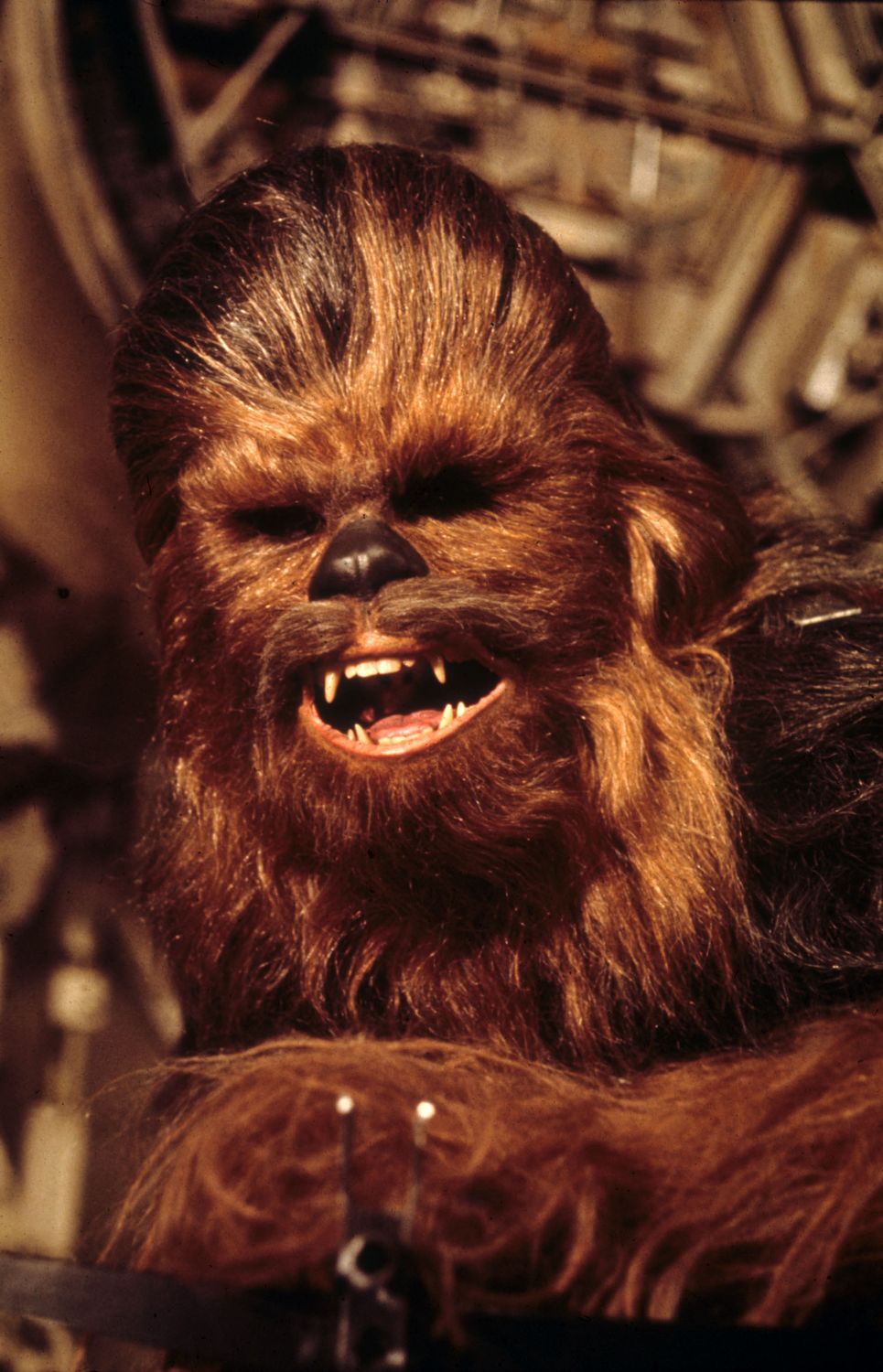 Как сложилась жизнь главных актеров космической саги &quot;Звездные войны&quot; (фото)