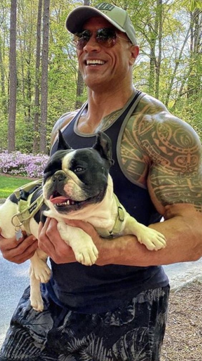 Брутальні голлівудські актори, які тануть поруч зі своїми французькими бульдогами