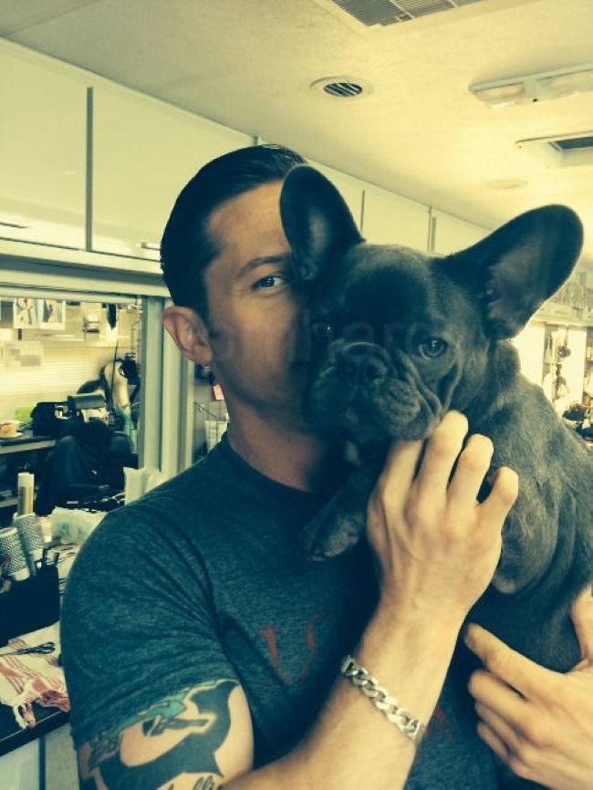 Брутальні голлівудські актори, які тануть поруч зі своїми французькими бульдогами