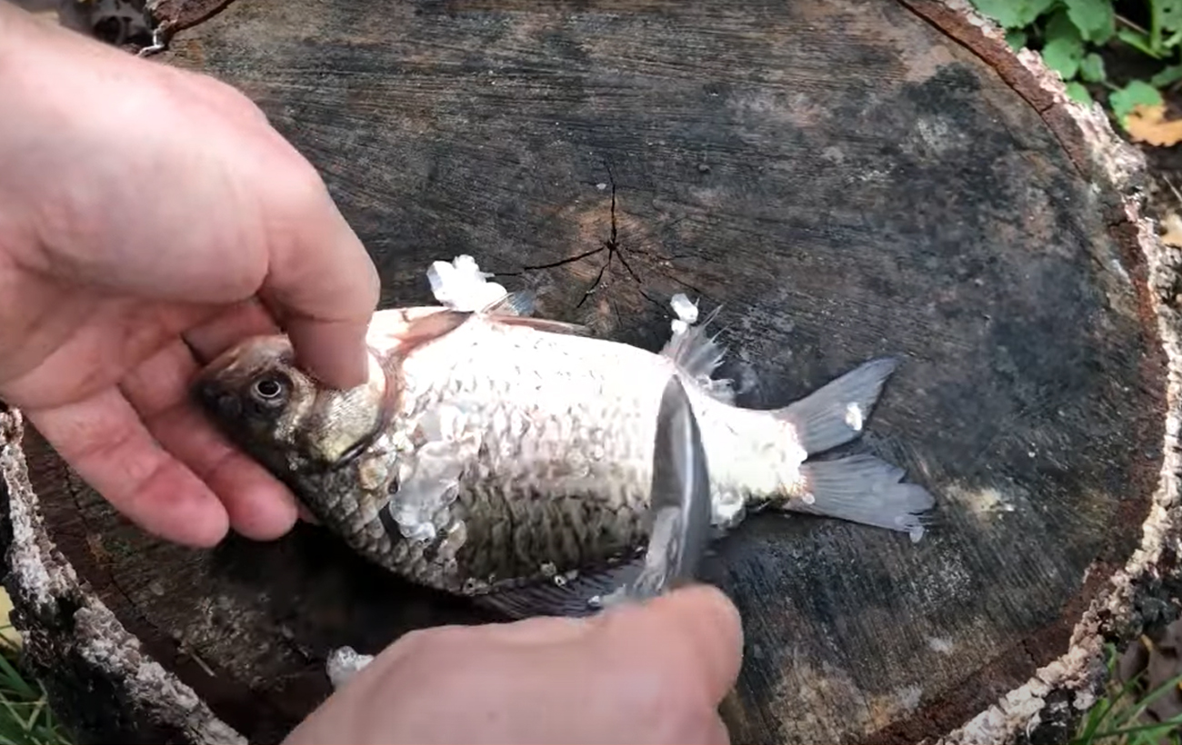 Як швидко почистити рибу від луски: спосіб, який заощадить час