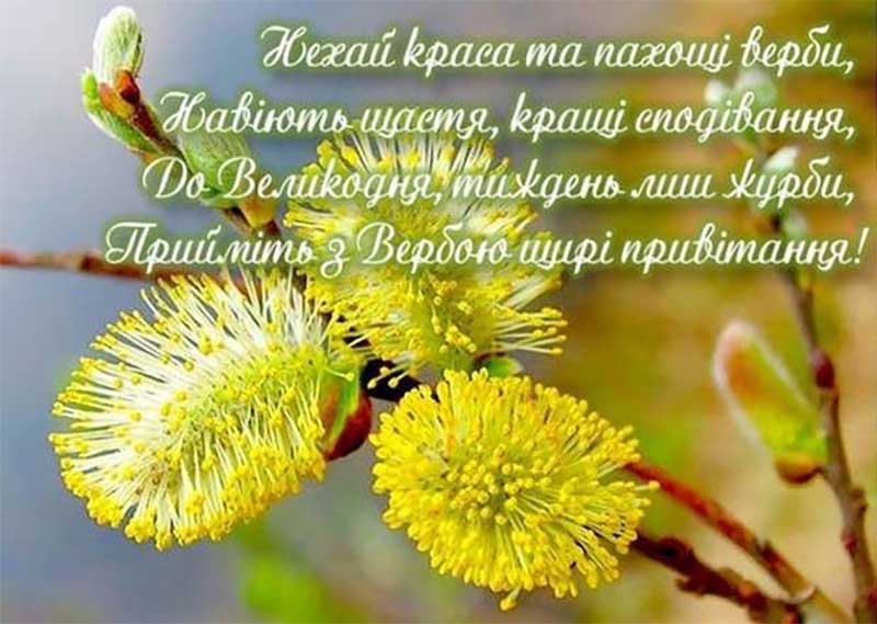 Вербное воскресенье 2024 года: самые красивые поздравления со светлым праздником