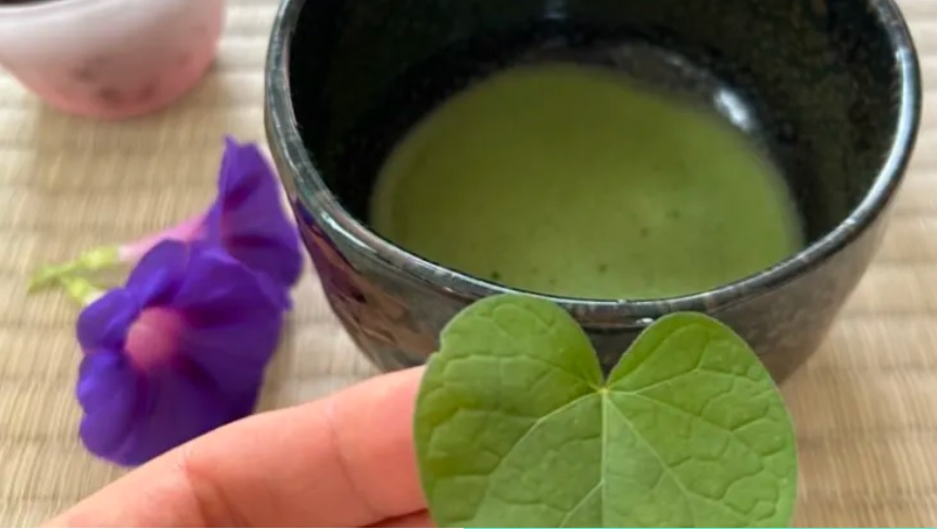 Японка з &quot;блакитної зони довгожителів&quot; назвала напій №1, який треба пити всім