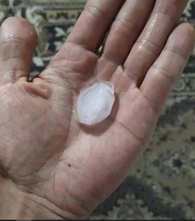 Україну накрило потужним ураганом: дерева падали, як сірники