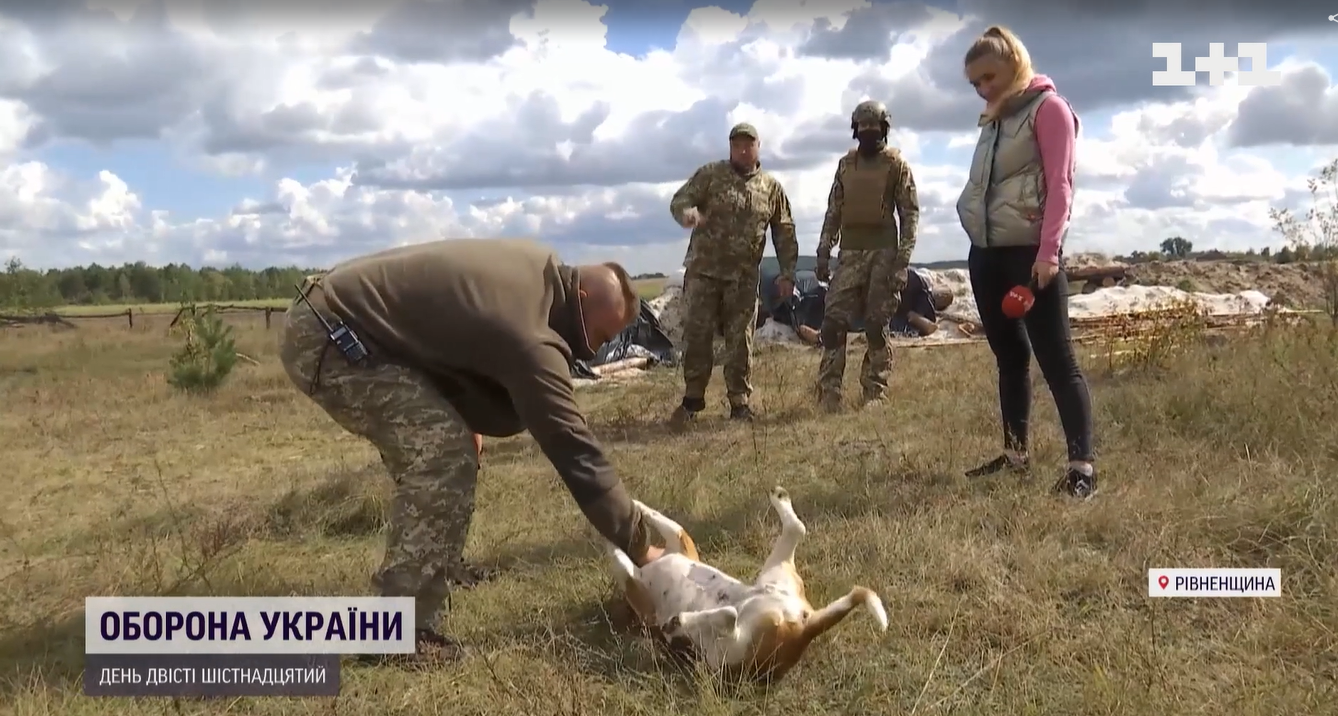 Краде шкарпетки та попереджає про наближення ракети: військові показали свого пса-талісмана