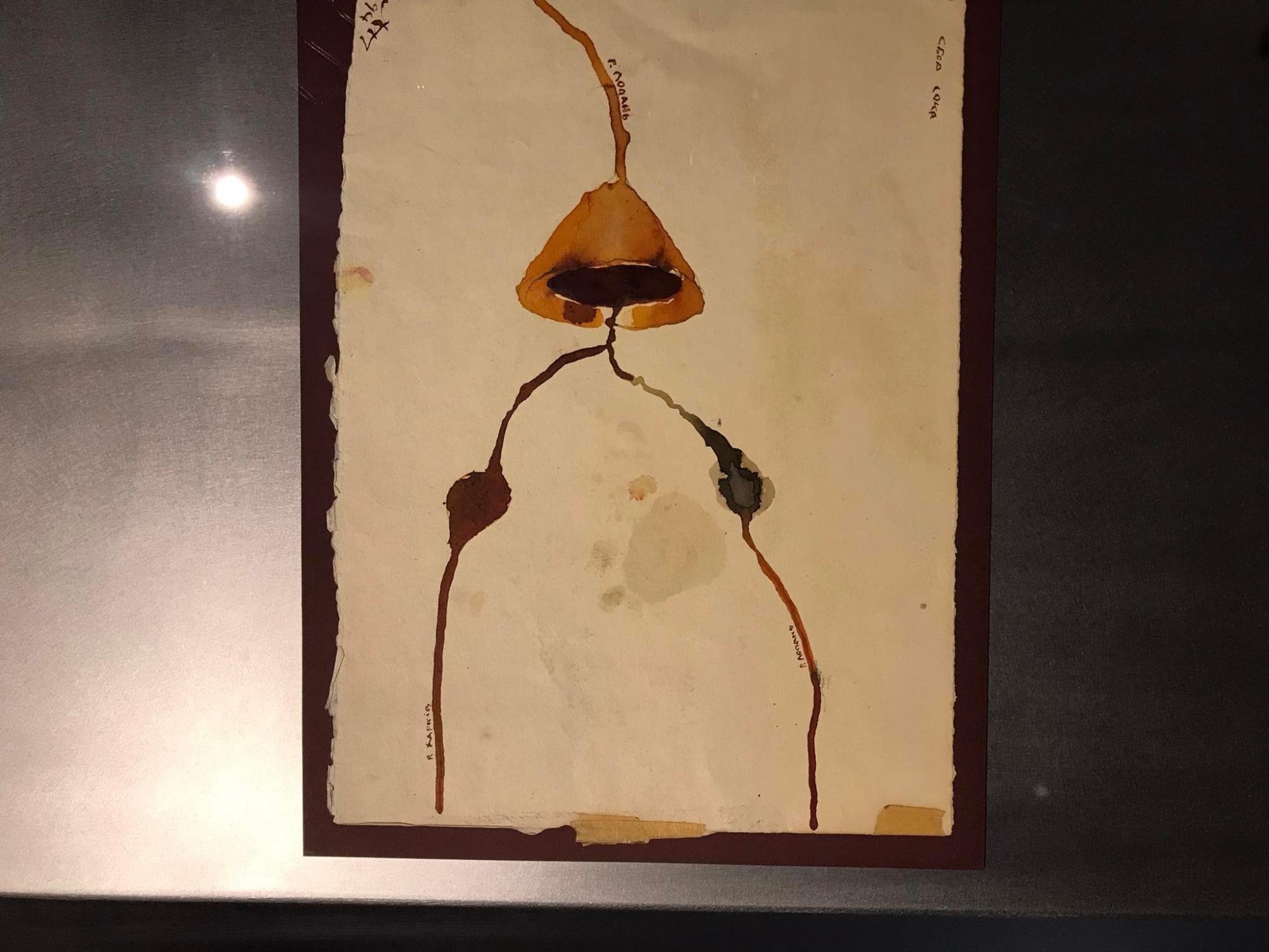 &quot;Идея России - уничтожить нашу культуру&quot;: художник Павел Маков представил Украину на Венецианской биеннале