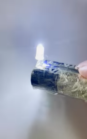 Наталья Могилевская показала, как сделать лампочку, которая будет работать год