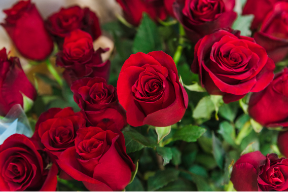 Розовые - любовь, синие - верность. Что значат оттенки цветов?