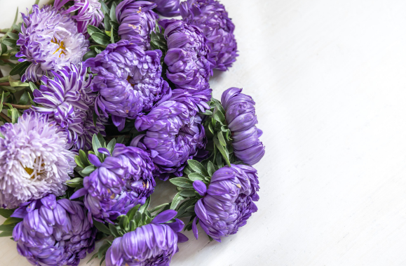 Розовые - любовь, синие - верность. Что значат оттенки цветов?