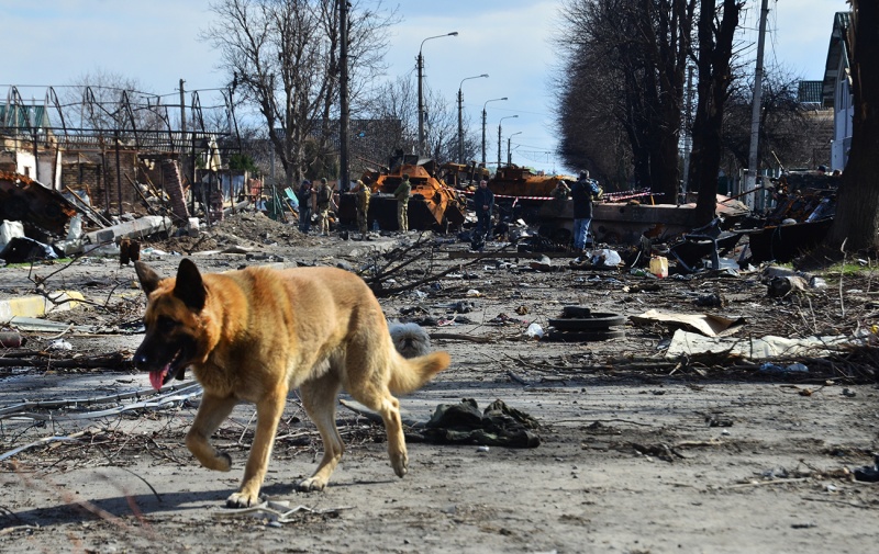 Мертві і врятовані. Що пережили міста під Києвом за час російської окупації