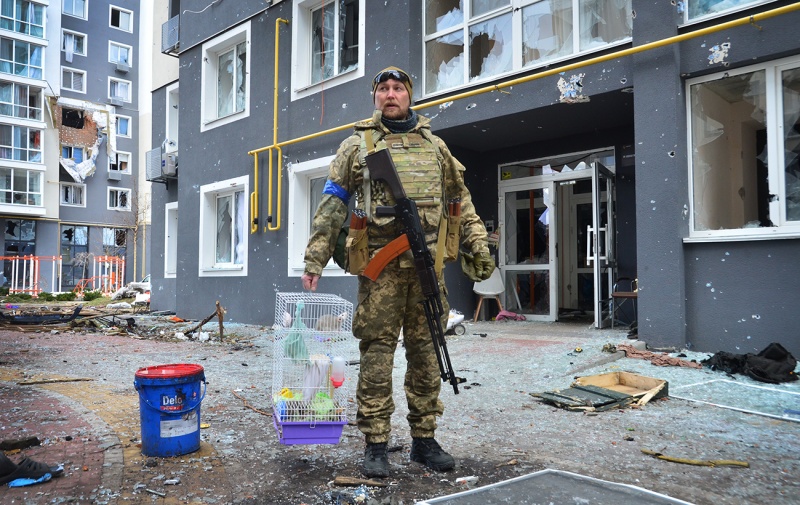 Мертві і врятовані. Що пережили міста під Києвом за час російської окупації