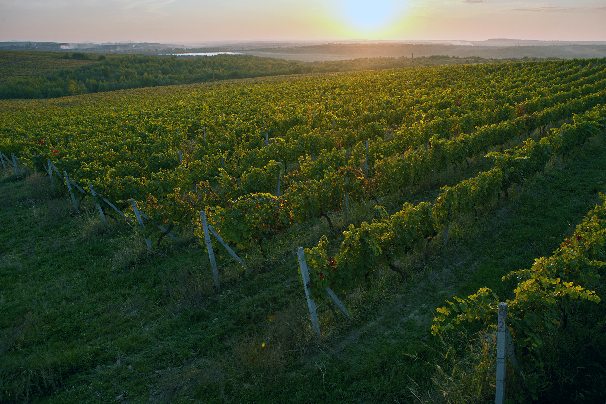 Война и угроза с севера. Как изменилась география гастропутешествий по Украине