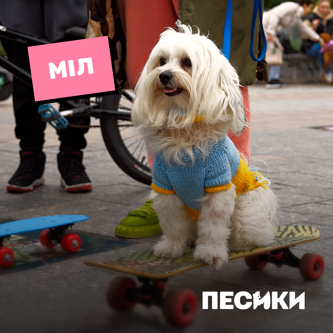 Дебют Лесі Нікітюк і особлива місія. Цікаві факти про фільм &quot;Песики&quot; і коли він вийде