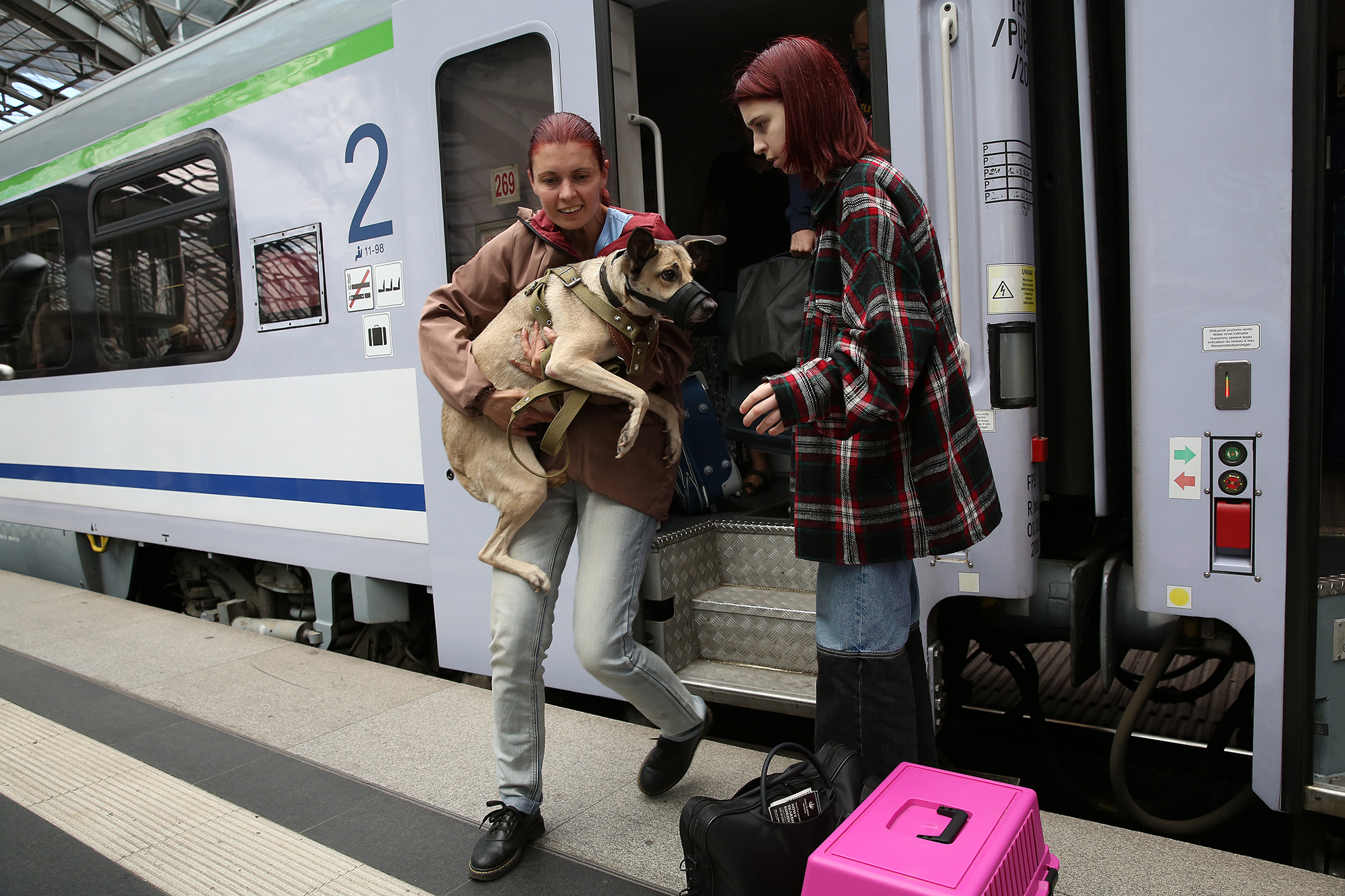 Нужно ли украинцам оформлять страховку, спасаясь от войны за границей