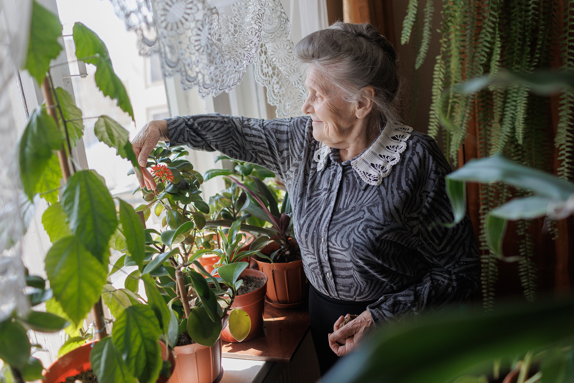 Як пенсіонерам пройти ідентифікацію для поновлення виплат: способи