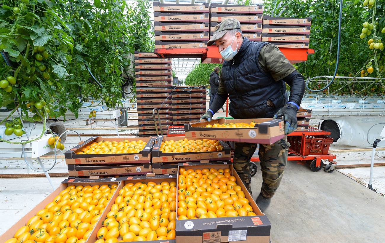 Нехватка рабочей силы. Какие специалисты больше всего нужны в Польше: вакансии