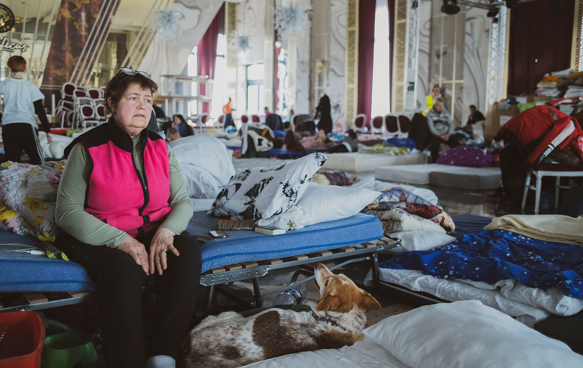 Дорога додому. Як повернути в Україну біженців з-за кордону