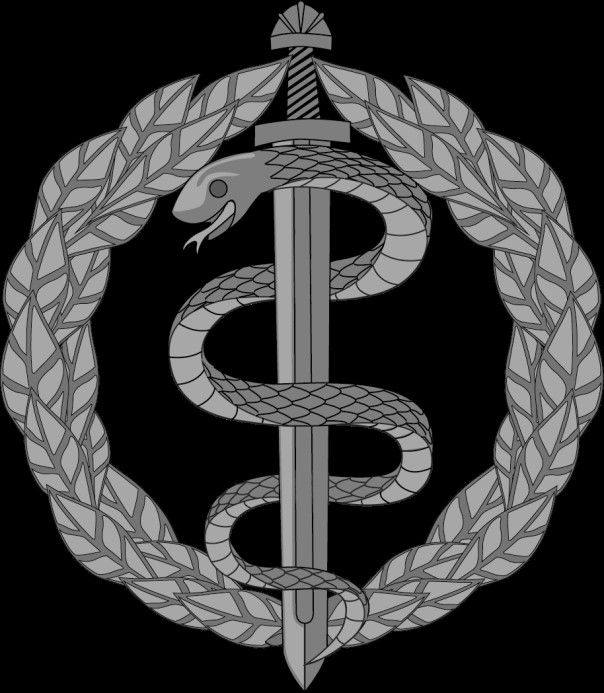 Нова символіка. Як виглядають знаки трьох окремих родів військ (фото)