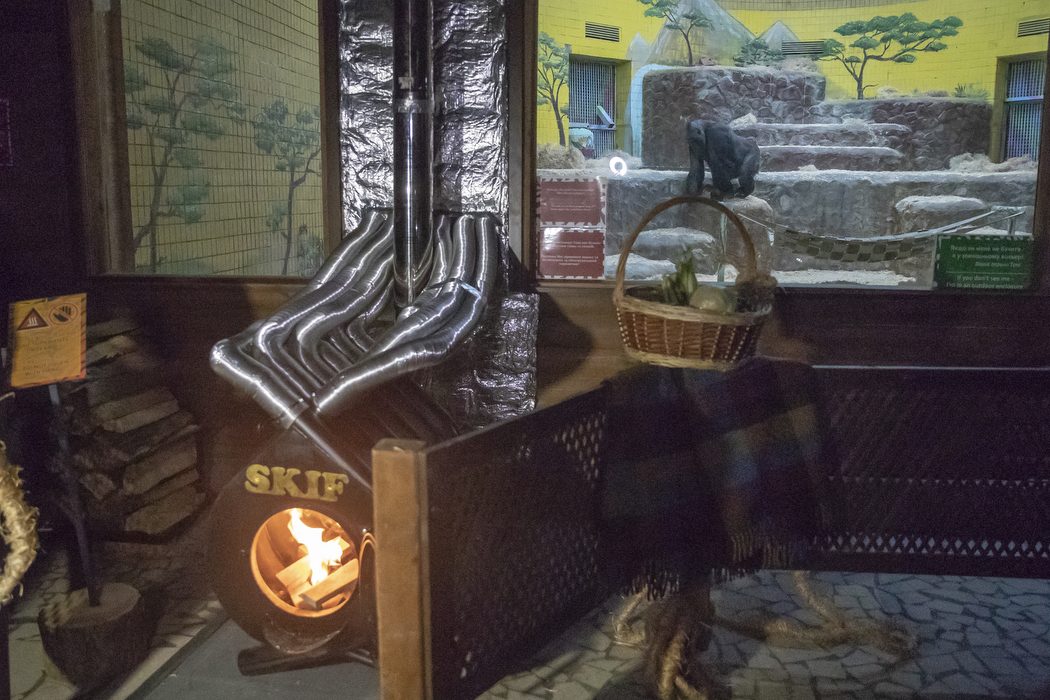 Мишки спали, а еноты не поняли: как на самом деле звери Киевского зоопарка пережили ракетную атаку