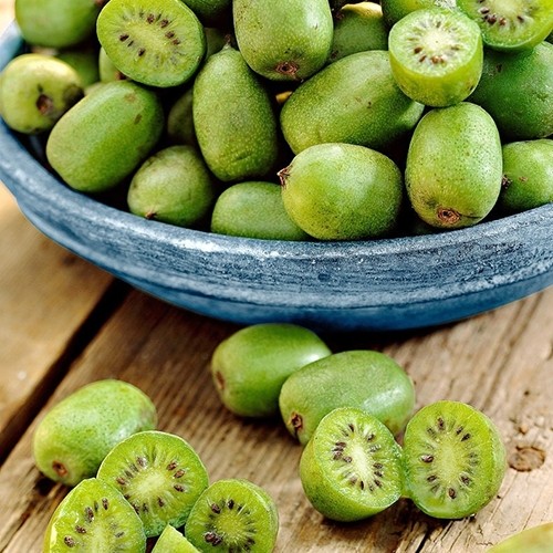 Покращить імунітет, зір і настрій. Суперфрукт, який треба їсти всім