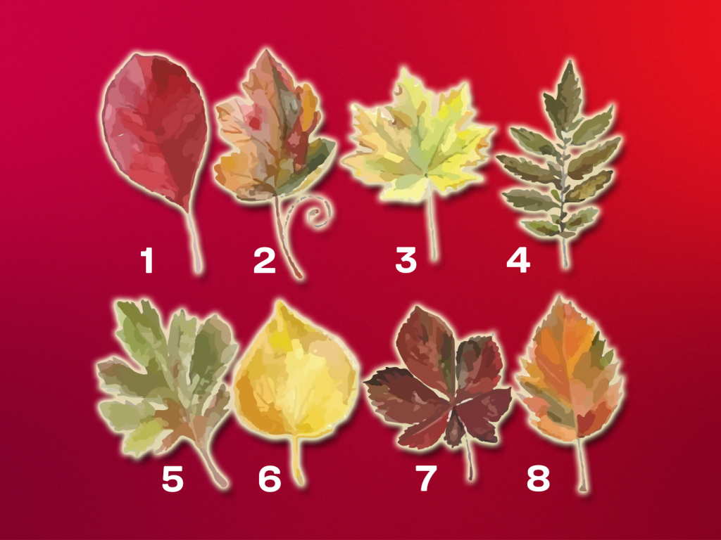 Что ждет вас до конца 2022 года: тест, который покажет правду