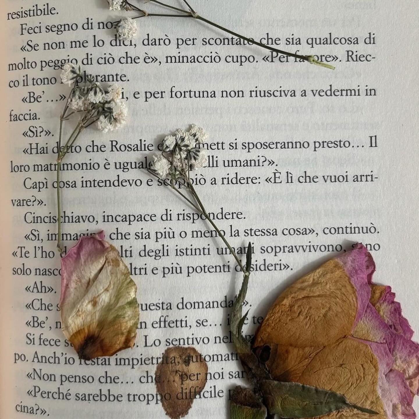 Алан Бадоєв розчулив мережу теплою зустріччю з дітьми за кордоном (фото)