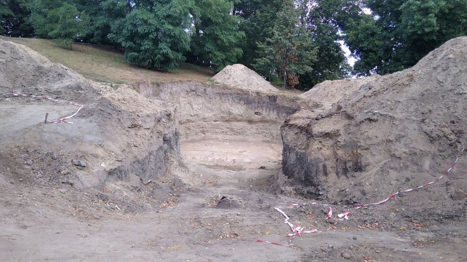 В Коростені на місці котловану під 50-метровий флагшток знайшли рештки мамонта (фото)