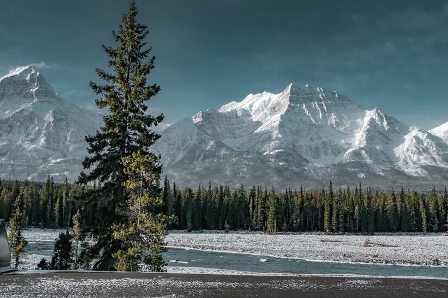 From polar bears to icebergs: Exploring Earth’s frozen frontiers