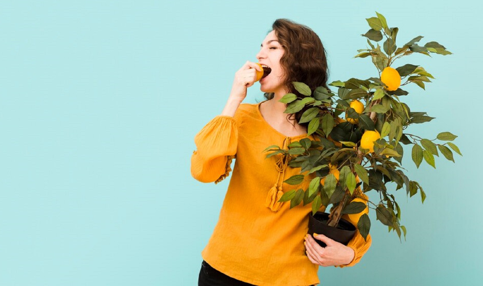 5 цитрусовых растений, которые можно вырастить дома из косточки
