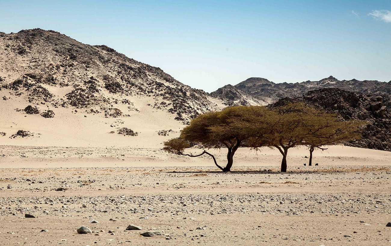 Непотрібні землі. Яка територія не належить жодній країні