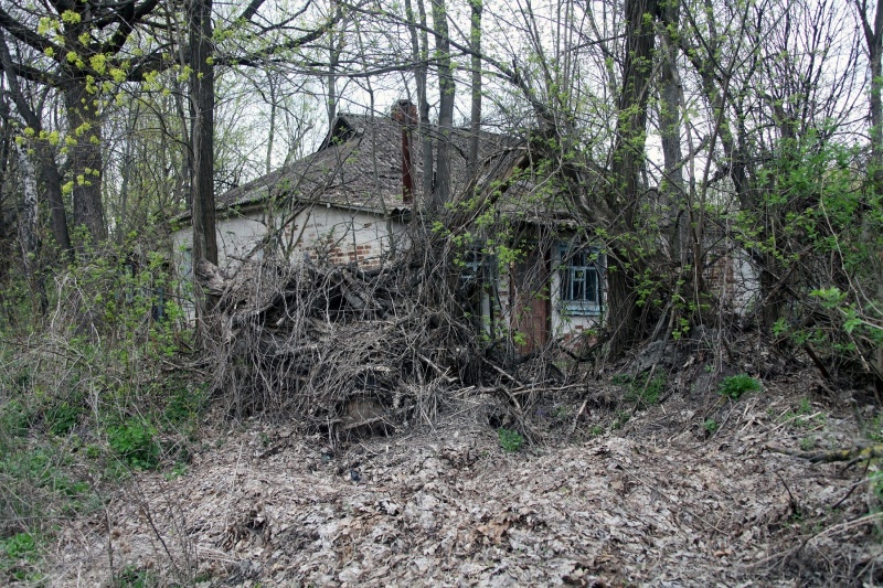 Chornobyl ghost city: Exclusive look at the place where time stands still