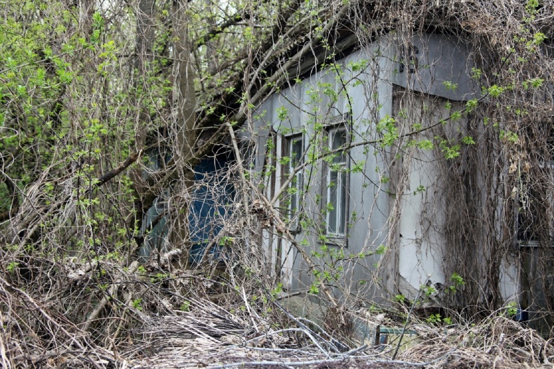 Chornobyl ghost city: Exclusive look at the place where time stands still