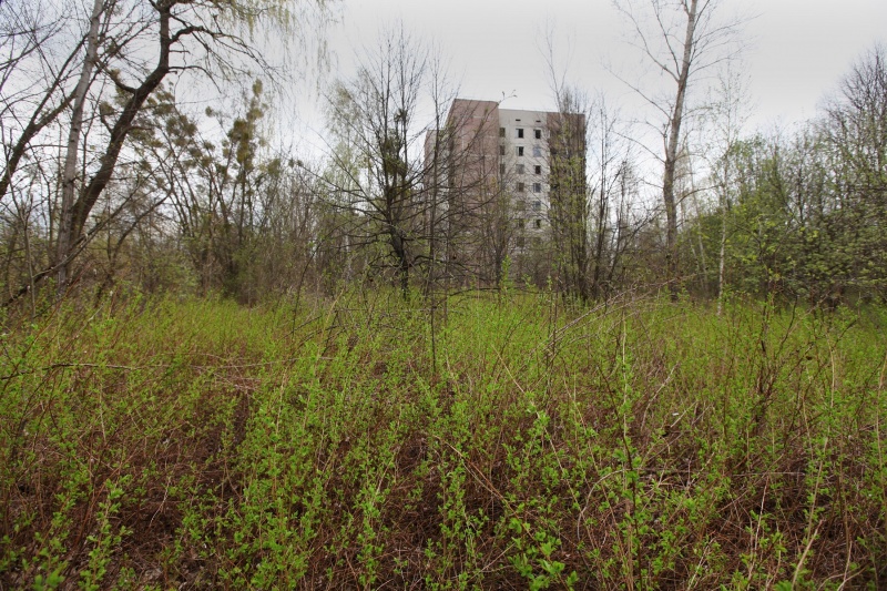 Chornobyl ghost city: Exclusive look at the place where time stands still