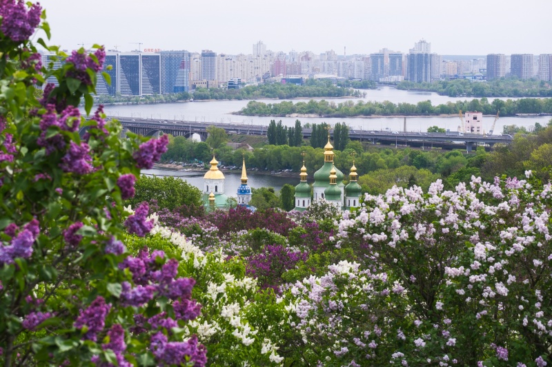 Сирень стареет, а кедр станет новым символом Киева, - Микола Шумик, Ботсад им. Гришко