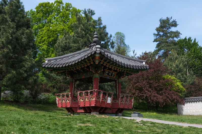 Сирень стареет, а кедр станет новым символом Киева, - Микола Шумик, Ботсад им. Гришко