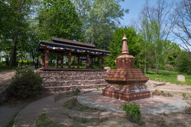 Сирень стареет, а кедр станет новым символом Киева, - Микола Шумик, Ботсад им. Гришко