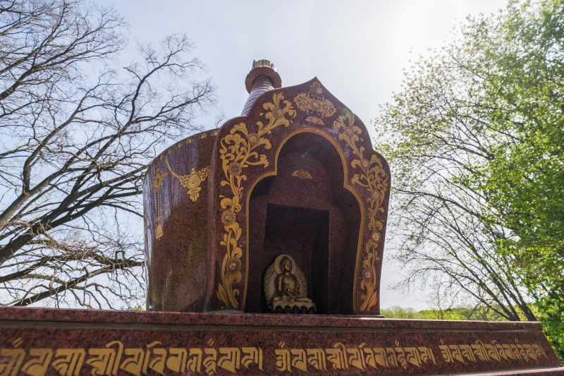 Сирень стареет, а кедр станет новым символом Киева, - Микола Шумик, Ботсад им. Гришко