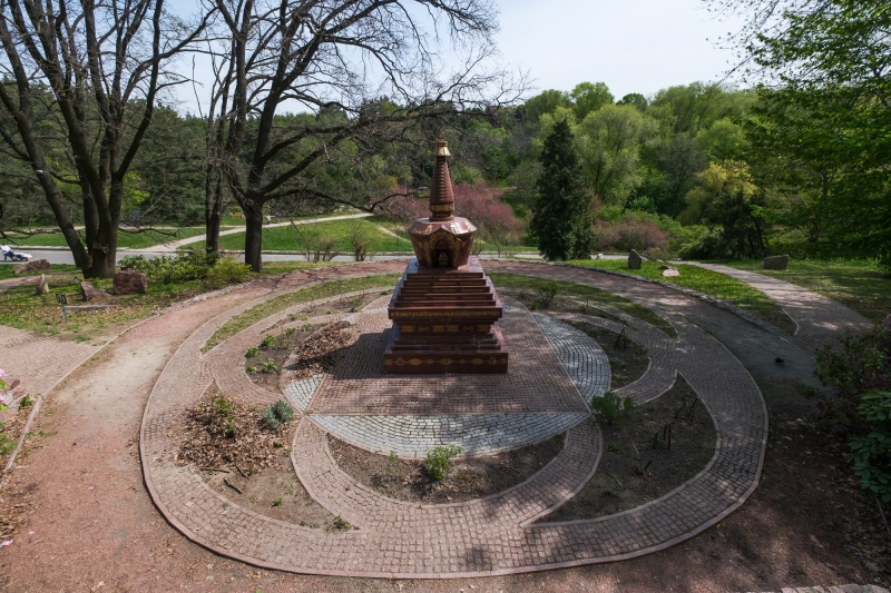 Сирень стареет, а кедр станет новым символом Киева, - Микола Шумик, Ботсад им. Гришко