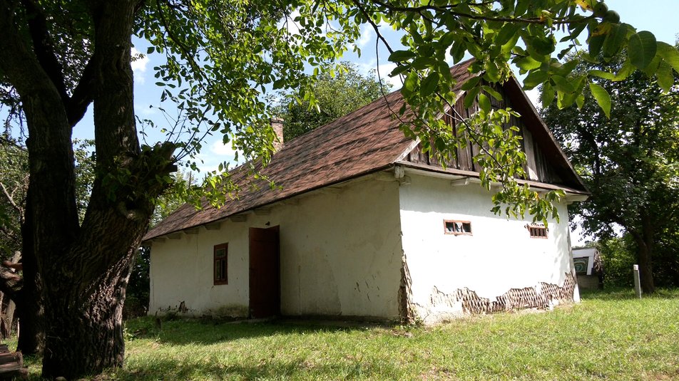Під Рівним випадково виявили оригінали гравюр члена ОУН Ніла Хасевича: як вони виглядають