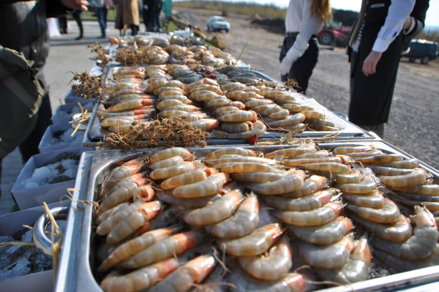 Названы самые плохие для здоровья морепродукты. Многие украинцы их обожают