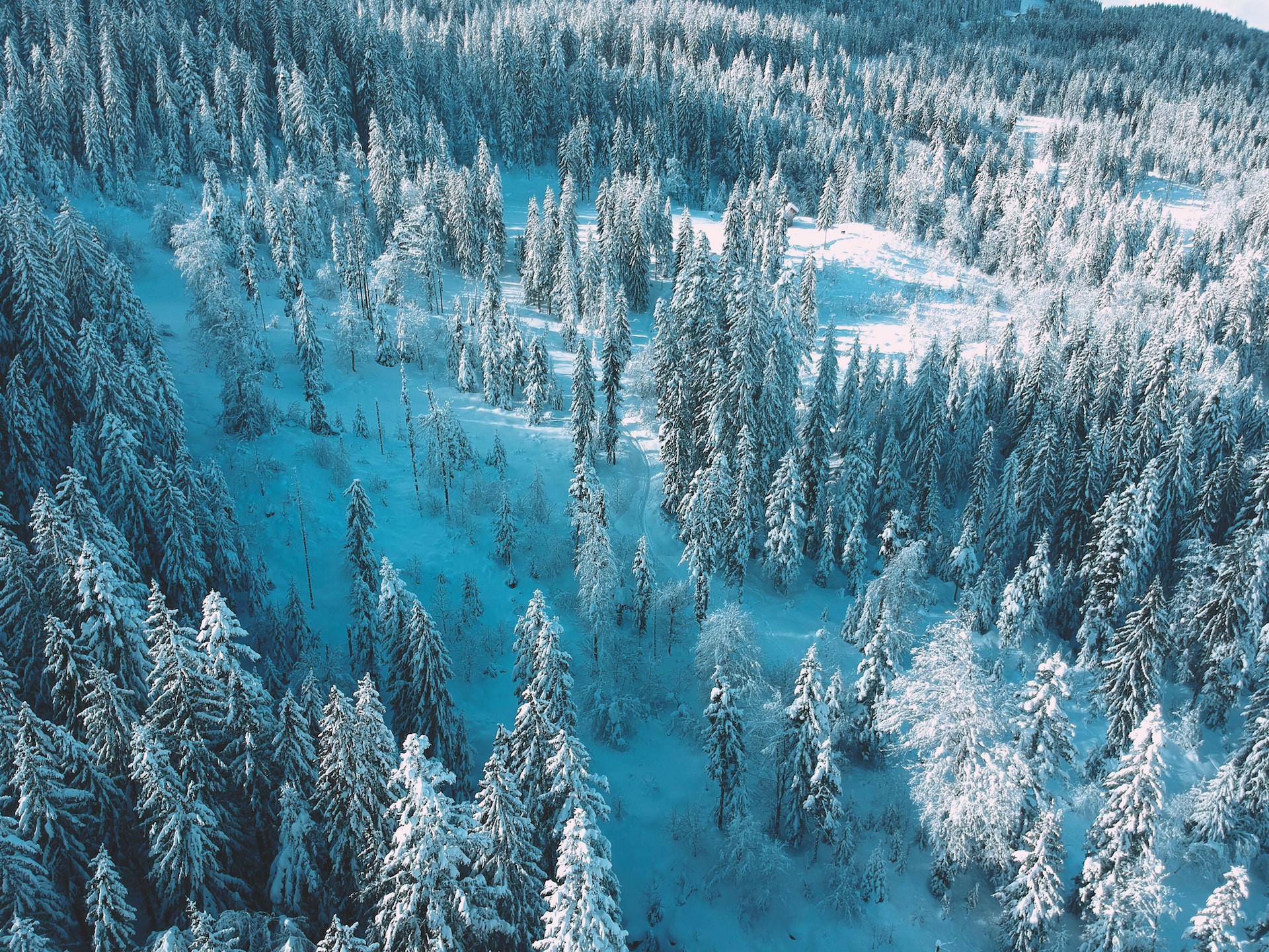 Сніг та гори. Недорогі курорти Європи для катання на лижах цієї зими