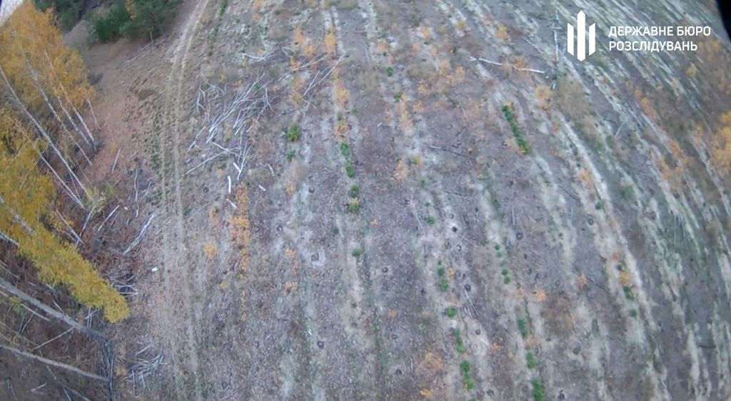 У Київській області викрили незаконну вирубку лісу майже на 15 мільйонів гривень