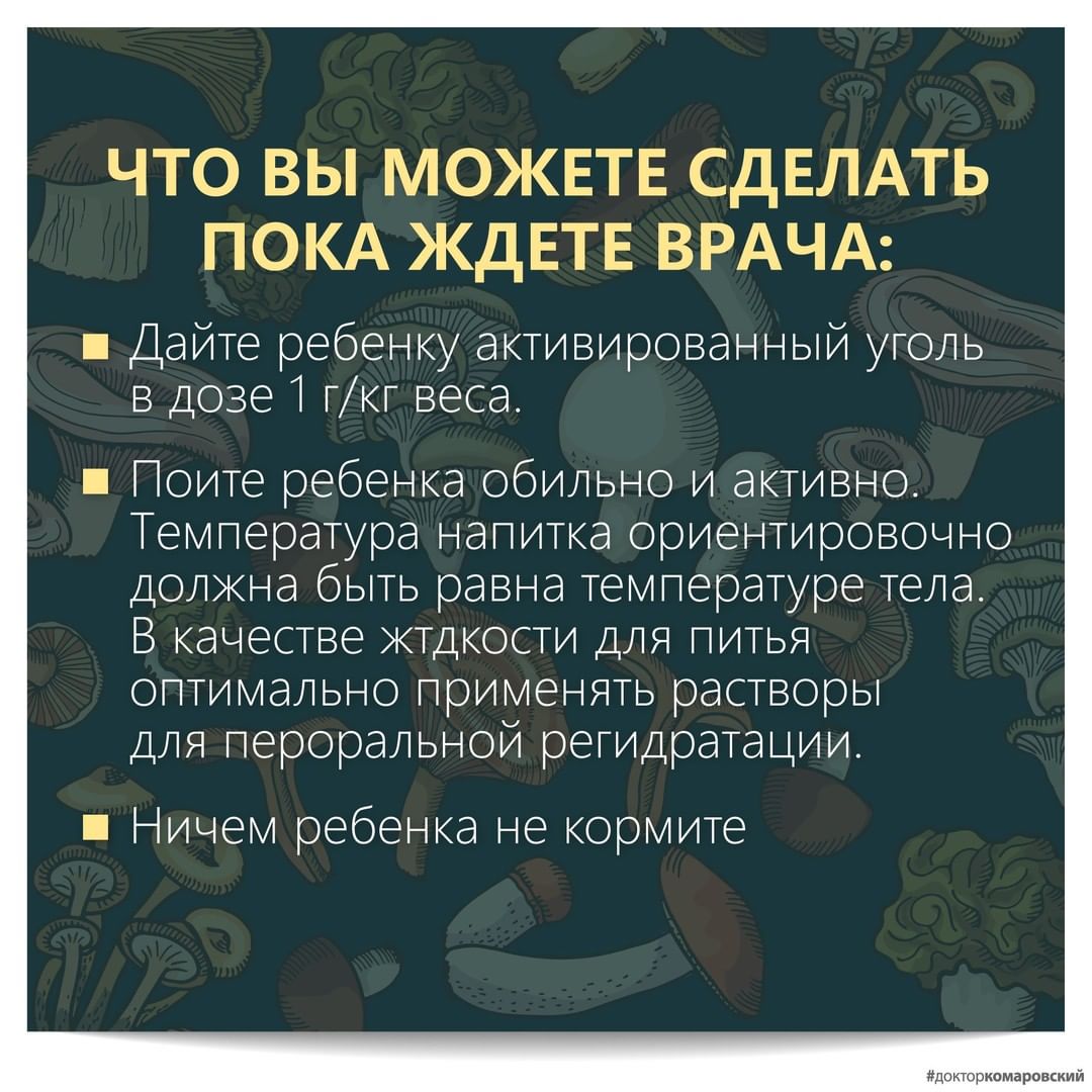 Комаровский рассказал, как действовать при отравлении грибами: инструкция &quot;выживания&quot;