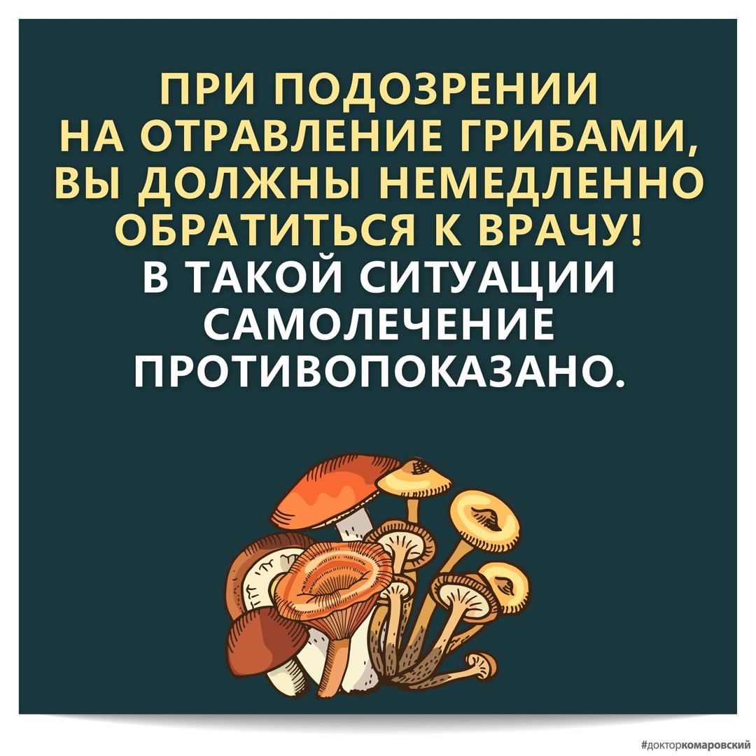 Комаровский рассказал, как действовать при отравлении грибами: инструкция &quot;выживания&quot;